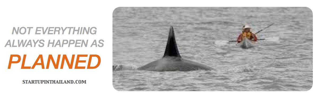 Two men kayaking on the sea following a big shark showing its fin above the water with a text caption 'Not everything always happen as planned'