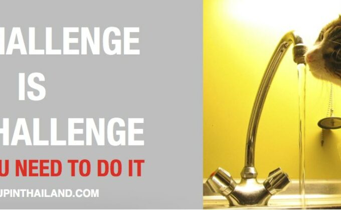 What Are Your Biggest Challenges While Promoting Your Business Online ?