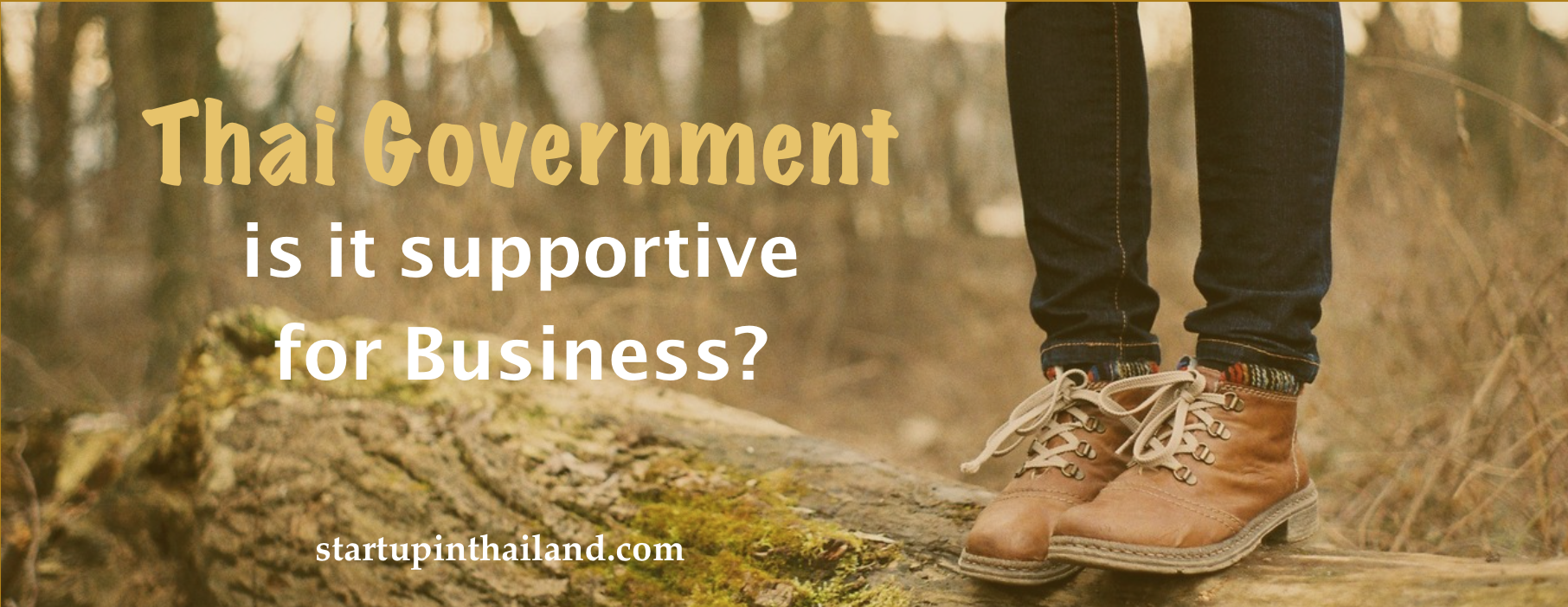 You are currently viewing Thailand Government – How Supportive is it for Business ?
