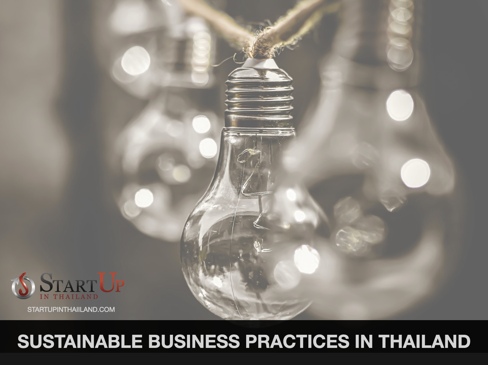 You are currently viewing Developing and Implementing Sustainable Business Practices in Thailand